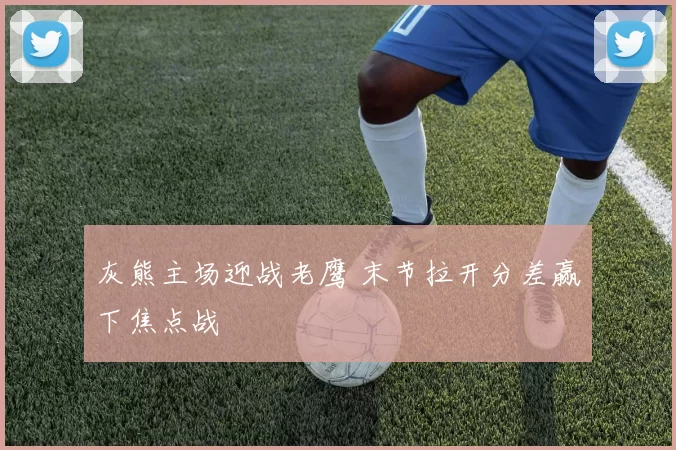 灰熊主场迎战老鹰 末节拉开分差赢下焦点战